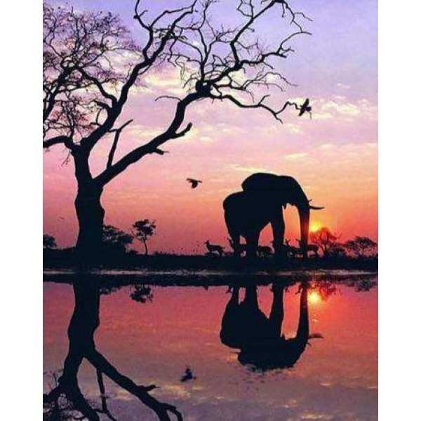 Olifant Silhouet